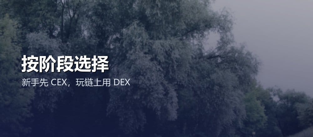 怎么选择 CEX 或 DEX