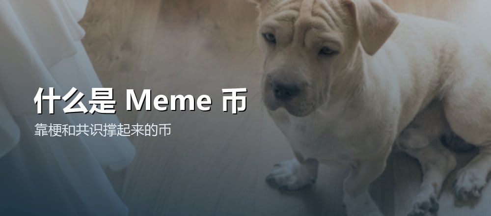 什么是 Meme 币