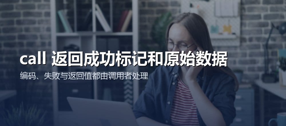 Solidity 低级 call 返回 success 布尔值和原始 returnData
